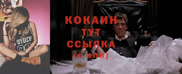 гидра Алексин