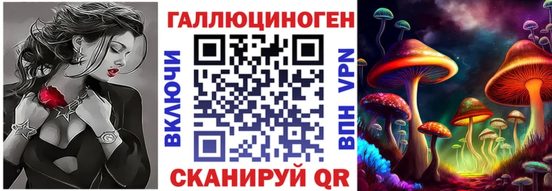Псилоцибиновые грибы Psilocybine cubensis  Котельнич 